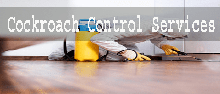 Cockroach Control Services